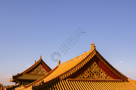 紫禁城黄色培养蓝色贵族文化红色栏杆天空雕塑木头背景图片