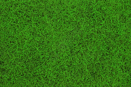 足球场上的干草场地小路条纹白色绿色植物公园体育场地面操场图片