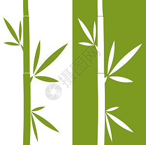 竹子植物插图绿色叶子背景图片