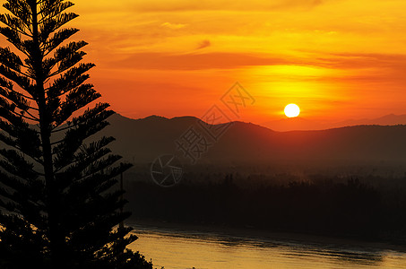 日落过山松树角度风景针叶树阳光橙子天空日出乡村太阳图片素材