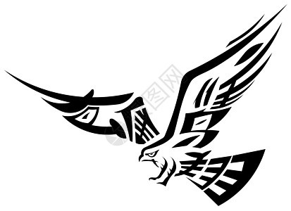 老鹰动物野生动物翅膀荒野捕食者插图羽毛飞行背景图片
