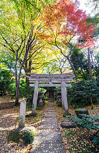 秋花园的日本传统寺庙图片