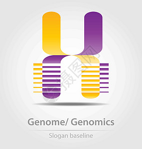 基因组分析 基因组学商业图标图片