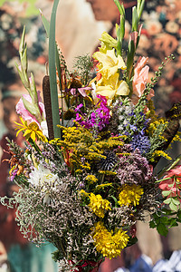 鲜花和草药的美丽花束季节雏菊吸附绣球花薄荷花园甘菊菊花收成装饰图片