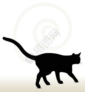 猫尾图插图小猫姿势拳击背光图形模版睡眠卡通片计算机动物图片