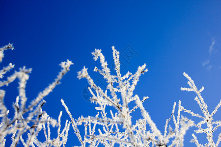 东风wwandland景观气候风景天空太阳滑雪季节图片