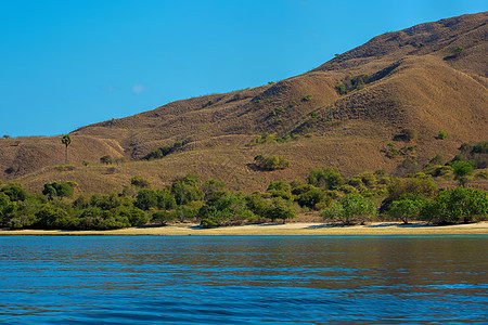 科莫多岛公园海岸晴天热带风景天堂假期旅行太阳蓝色图片