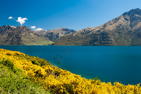 瓦卡提普湖石蜡环境场景风景高山远景金雀花山脉墙纸天空图片