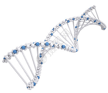 白色DNA链条说明螺旋染色体插图蓝色图片