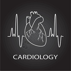 心脏病体学医学象征物的人类心脏插图攻击韵律肌肉医院药品生活测试压力心电图图片