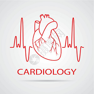 心脏病体学医学象征物的人类心脏病人药品心脏病学有氧运动肌肉科学插图脉冲心电图绘画图片