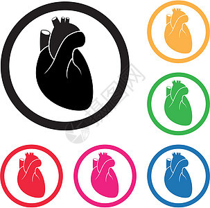 人类心心血管矢量图标图片