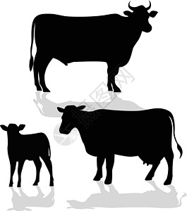 奶牛家庭带影子的轮光影图片