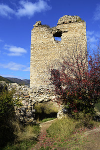 Coltesti堡垒塔的图象 建于T区13世纪图片