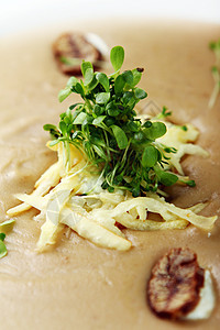 新鲜纯净的汤 有奶酪和绿菜食物土豆盘子食谱饮食美食蔬菜餐厅草本植物液体图片