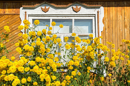 村屋前的黄色花朵雕刻文化裂缝住宅框架房子建筑学大厦建筑纹饰图片