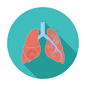 黑白肺医疗支气管生物学身体呼吸手术福利气管解剖学外科图片