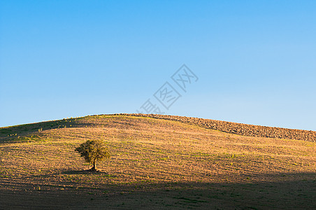 托斯卡纳场地绿色农场农业风景爬坡乡村蓝色农家农村图片