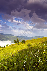 山高地貌喀尔巴阡山 乌克兰地平线小路爬坡木头全景草地松树蓝色晴天森林图片