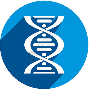 白色背景上孤立的 Dna 矢量图标图片