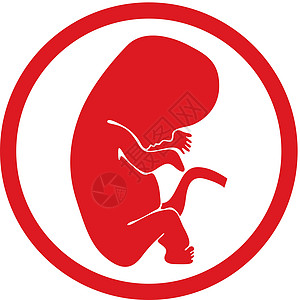 胎儿矢量图标被孤立图片