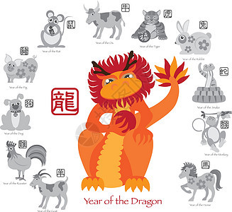 中国新年龙色 12个Zodiacs图片