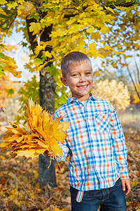 有秋叶的可爱男孩微笑衣服男生童年公园夹克婴儿幸福乐趣帽子图片