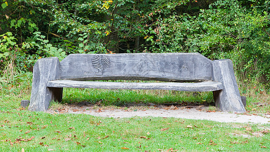 独一无二的公园板凳背景图片