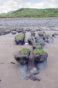 Beal海滩的绿色粘泥泥滩香农场景河口海岸线生态黏土石头海岸天空粘液图片