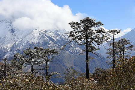 山上云层的移动 孔德里 喜马拉雅 内天空蓝色薄雾顶峰山脉冰川白色旅行全景图片