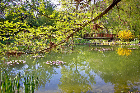 植物园花园湖泉光图片