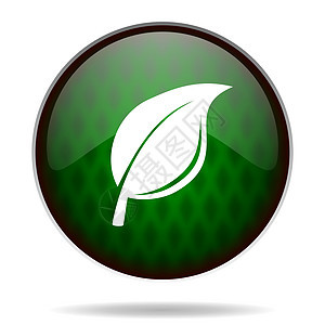 自然绿色互联网图标生态按钮树叶植物生物网络生长草本生活叶子图片