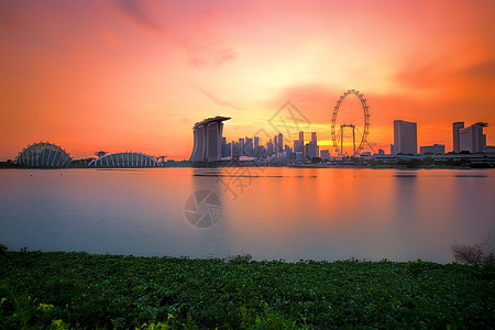 日落时新加坡天线国家螺旋旅行传单花园酒店交通地标旅游花朵图片