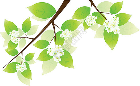 春季春天环境插图回收树叶生态绿色白色植物图片