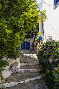 阿洛尼索斯希腊岛街脚步旅游村庄小路花朵房子建筑学假期晴天石头图片
