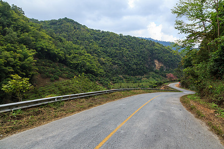 自然道路天空植物森林乡村阳光丛林树木绿色地平线国家图片