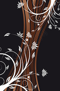 Florol 设计矢量光盘叶子装饰品白色漩涡绘画滚动植物曲线棕色图片