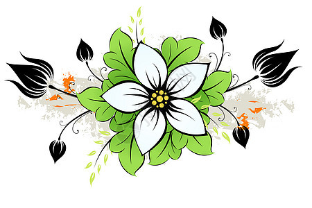 格朗盖花花白色绿色艺术植物叶子插图滚动花丝斑点橙子图片