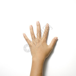女用手张开手指身体棕榈商业拇指白色手势女性表决帮助背景图片