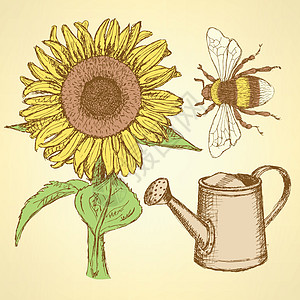 向日葵蜜蜂向日葵 蜜蜂和水罐插画