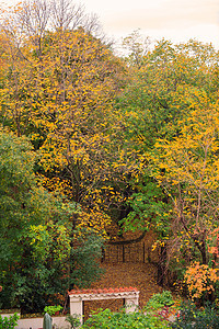 秋季季节背景图片