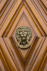 狮子头建筑学大教堂圆圈金属雕塑娱乐木头黄铜入口狮子图片