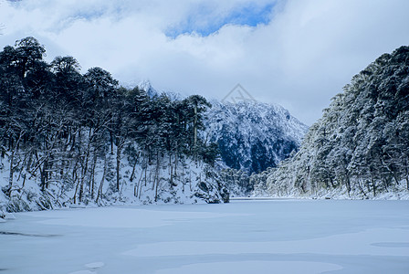 韦尔基支撑风景多云季节性全景森林图片