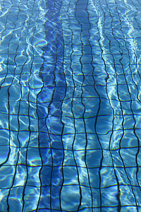 奥林匹克规模游泳池安排体育场运动蓝色竞赛背景图片