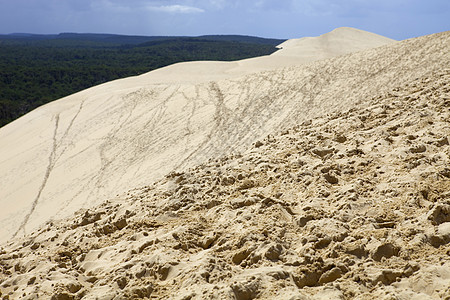 皮拉丘海滩沙漠旅行地标冒险脚步晴天游客海岸爬坡图片