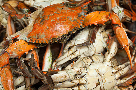 煮蓝蟹餐厅海鲜橙子生活动物午餐美食螃蟹贝类食物图片
