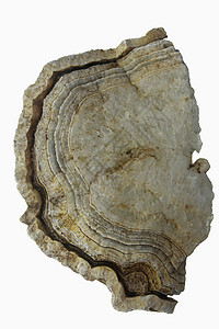 矿物开矿地基岩石大理石艺术石英宏观水晶玛瑙紫晶二氧化硅宝石地质学图片