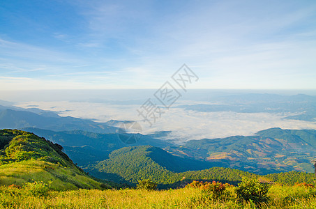 雾中的山丘 早晨风景山脉假期树木丘陵荒野天空孤独森林天气美丽图片