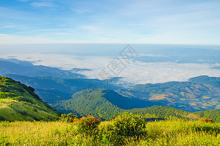 雾中的山丘 早晨风景天气假期植物美丽丘陵旅行乡村山脉薄雾孤独图片