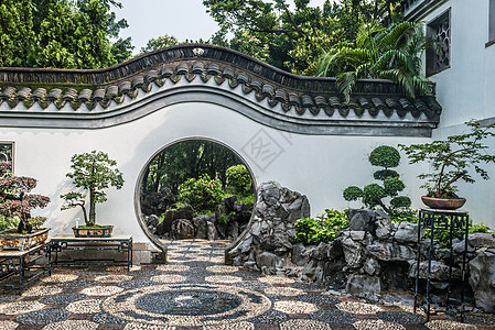 Kowloon 长城公园 香港盆栽公园旅行名胜花园地标树木马赛克风景图片